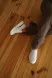 Мокасины Allshoes 169117