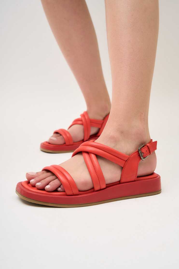 Босоніжки Anna Lucci 171170 - Вид 5 - інтернет магазин sandalini.ua