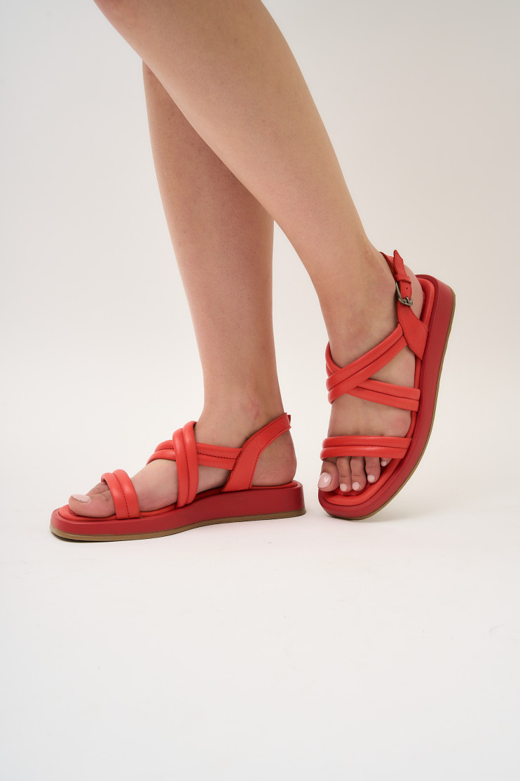 Босоніжки Anna Lucci 171170 - Вид 10 - інтернет магазин sandalini.ua