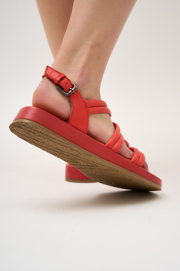 Босоніжки Anna Lucci 171170 - Вид 6 - інтернет магазин sandalini.ua